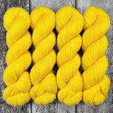 Dyed-to-Order // Gemini