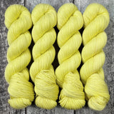 Dyed-to-Order // Limoncello