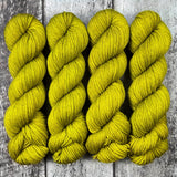 Dyed-to-Order // Cactus