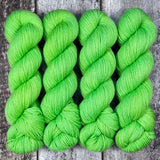 Dyed-to-Order // Limelight