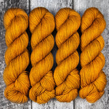 Dyed-to-Order // Lioness