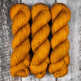 Dyed-to-Order // Lioness