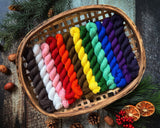 Zodiac Collection Mini Skein Set