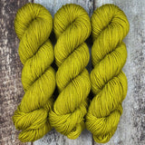 Dyed-to-Order // Cactus