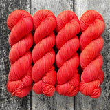 Dyed-to-Order // Hibiscus