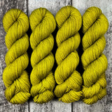 Dyed-to-Order // Cactus