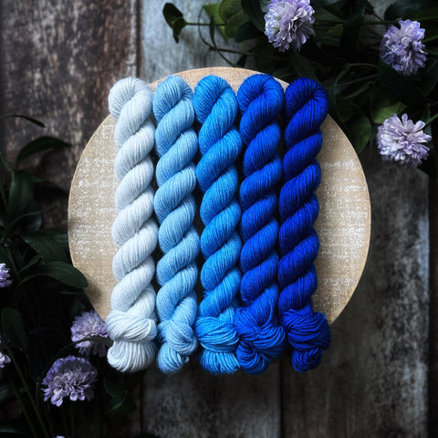 January Color Palette of the Month Mini Skein Set