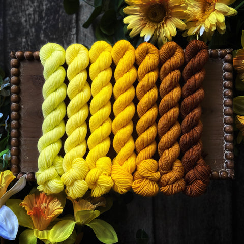 May Color Palette of the Month Mini Skein Set