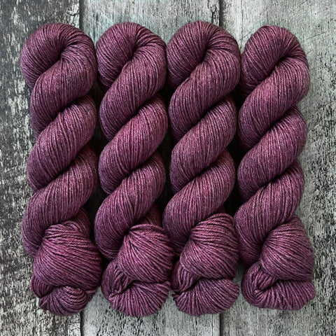 Dianthus // Magnolia DK