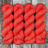 Hibiscus // Sugarplum Worsted