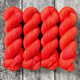 Hibiscus // Sugarplum Worsted