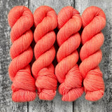 Dyed-to-Order // Hibiscus